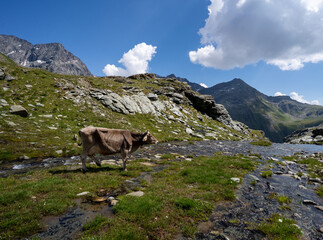 Wandern in der Lombardei Italien Sommer