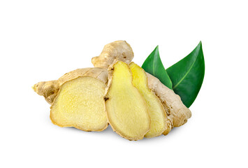 fresh ginger root and leaves isolated on white background