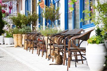 Cozy terrace on a greek street.
