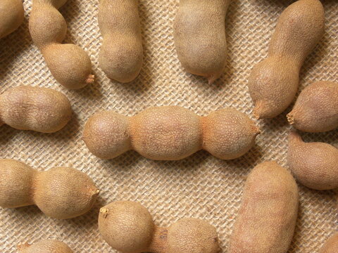 Brown color raw whole dried Tamarind fruit in shell