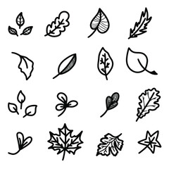 Fototapeta premium Hand Drawn Forest Vector Autumn Set with Maple Aspen Oak Poplar Physalis Beech Palm Chestnut Leaves. Detailed foliage line art isolated on white background. Fall collection Black sketch design element