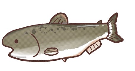 R:メルヘンな水族館 キングサーモン １