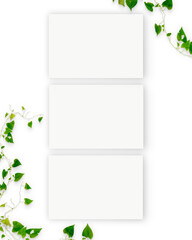 Three Interior horizontal rectangular poster mockups with plant and decorations on empty white wall background. Rendering illustration.