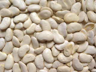 White color raw whole dried Lima beans