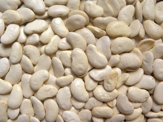 White color raw whole dried Lima beans