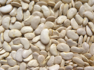 White color raw whole dried Lima beans
