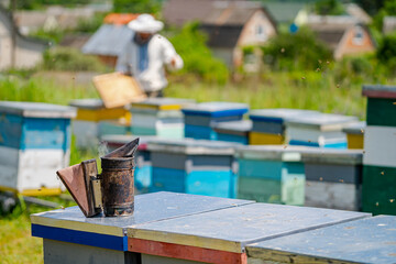Fototapeta na wymiar Colorful hives of bees on a meadow in summer. Hives in an apiary with bees flying to the landing boards. Apiculture. Bee smoker on hive.