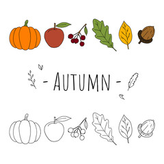 Autumn illustrations. Vector. Isolated objects on white. Hand-drawn.
