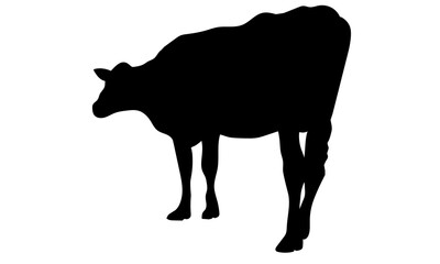 後ろから見た牛の立ち姿（シルエット）