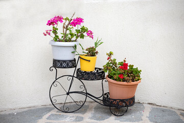 Fototapeta na wymiar Bicycle shape flower pot on white.