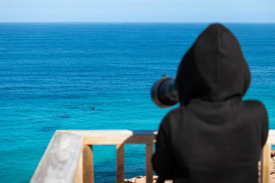 Person taking pictures of whales at the ocean with a zoom lens on a camera. Group of whales, blurry person at foreground with black clothes. Nature observation. Head Bight, Nullarbor, South Australia
