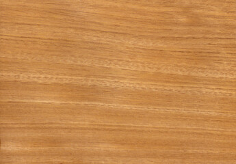 Cerejeira veneer, exotic natural wood from South America.