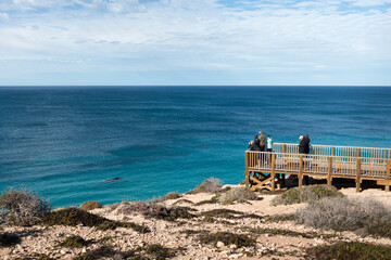 Fototapeta premium Group of people watching whales migration from an observation platform at the shore. Whale close to the cliff. Nature observation. Head of Bight, Nullarbor, South Australia