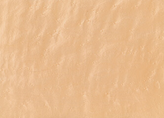 Fototapeta premium Birdseye maple, exotic natural wood from North America.
