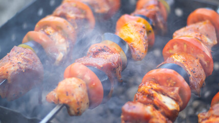 Juicy shish kebab in the grill outdoors, pieces of meat on coals, close-up. Smoke, blurred bokeh background. Cape, tomato, eggplant, onion.