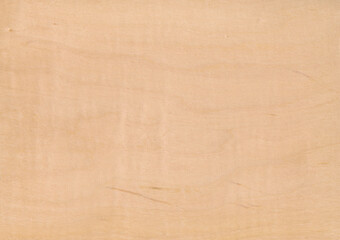 Curly Maple, natural wood from America.
