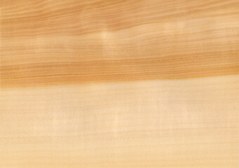 Grissard veneer, natural wood from Europe.
