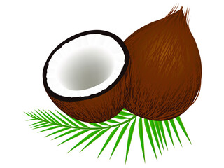 Coconut with half and leaves on white background.