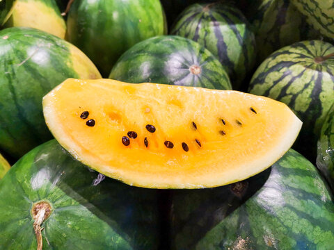 Yellow Watermelon
