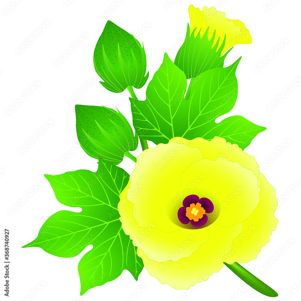 Wall mural yellow flower of cotton with buds and leaves on a branch.
