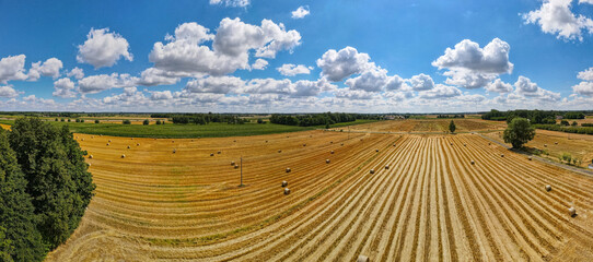 Aerial panorama of rural road passing through agricultural land in Poland countryside