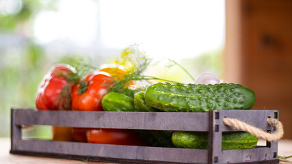 Vegetables tomatoes and cucumbers in a wooden box on a wooden table, close-up. Harvest, garden, vegetable garden. Blurred bokeh background.
