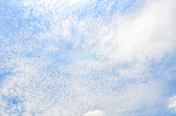 Obraz premium うろこ雲