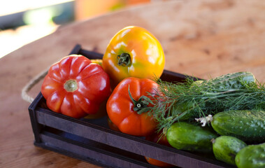 Vegetables tomatoes and cucumbers in a wooden box on a wooden table, close-up. Harvest, garden, vegetable garden. Blurred bokeh background.
