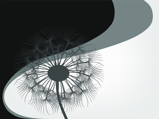 Abstract gray background of a dandelion for design.
