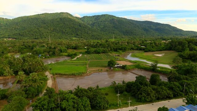 Top view of farm and mountain in Thailand
