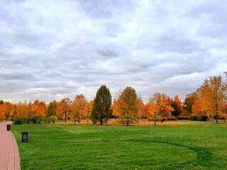 autumn in the park