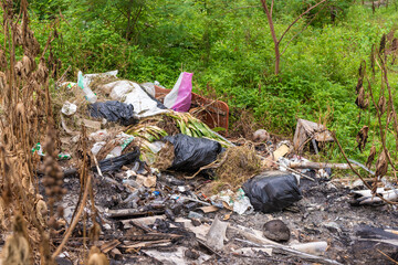 urban waste in the forest, pollution of nature, household waste, environmental problems