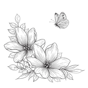 Hand Drawn Flowers  and  Flying Butterfly