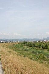 Obraz premium 河川敷、River