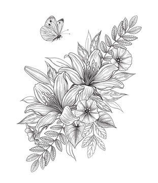Hand Drawn Lily Flowers  and  Flying Butterfly