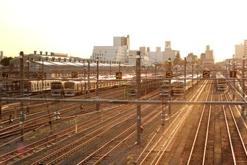Fototapeta na wymiar 夕焼けに照らされる電車