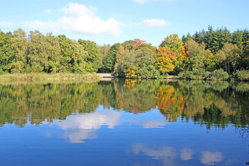 Fototapeta na wymiar Stover lake, Devon in autumn 