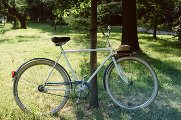 old bicycle in the park