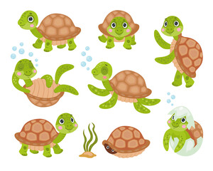 Green baby turtle set. Cute funny tortoise cartoon character sleeping, dancing, swimming, hiding in shell, hatching. Vector illustrations for nature, animals, wildlife, aquatic reptilians concept