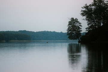 Krajobraz widok jeziora z pochylonym nad taflą wody drzewem