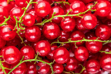 red currants background
