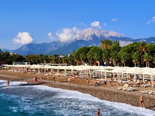tropical beach with palm trees