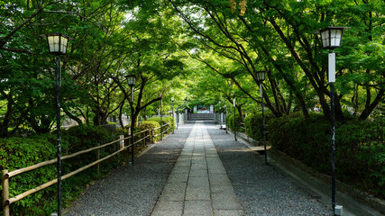 長岡天満宮の参道