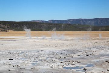 Lower geyser basin