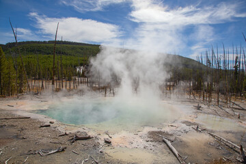 Norris geyser basin