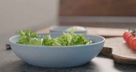 making salad with frisee lettuce, tomatoes amd mozzarella in a blue bowl on kitchen countertop