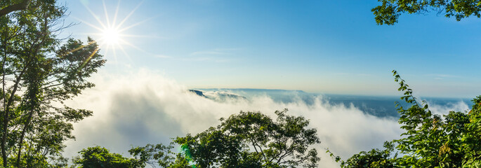 Fototapeta na wymiar Cliff views, mountains, white mist, at Pha Mor E Daeng National Park, Sisaket Province, Thailand.