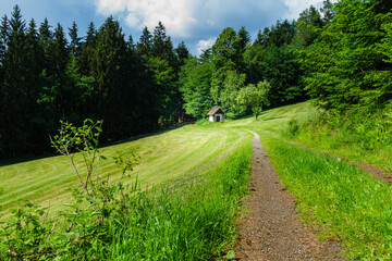 Wanderung zum Gallner Gipfel bei Stallwang im Bayerischen Wald