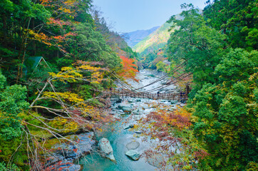 Iya valley and Kazurabashi vine bridge in Shikoku, Japan6.