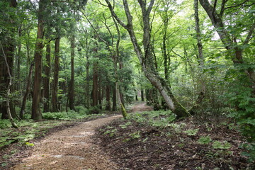 日本の岡山県鏡野町の山の景色